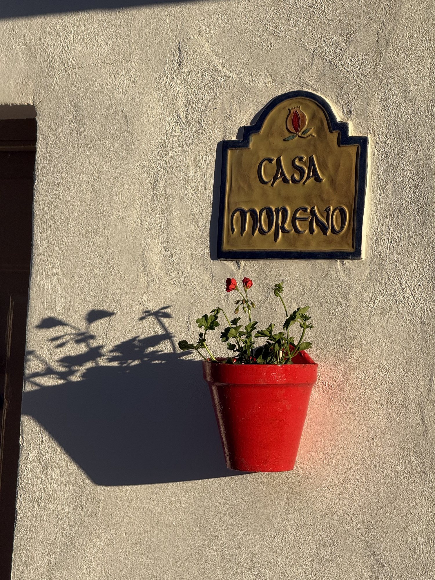 A village wall, a pot of geraniums