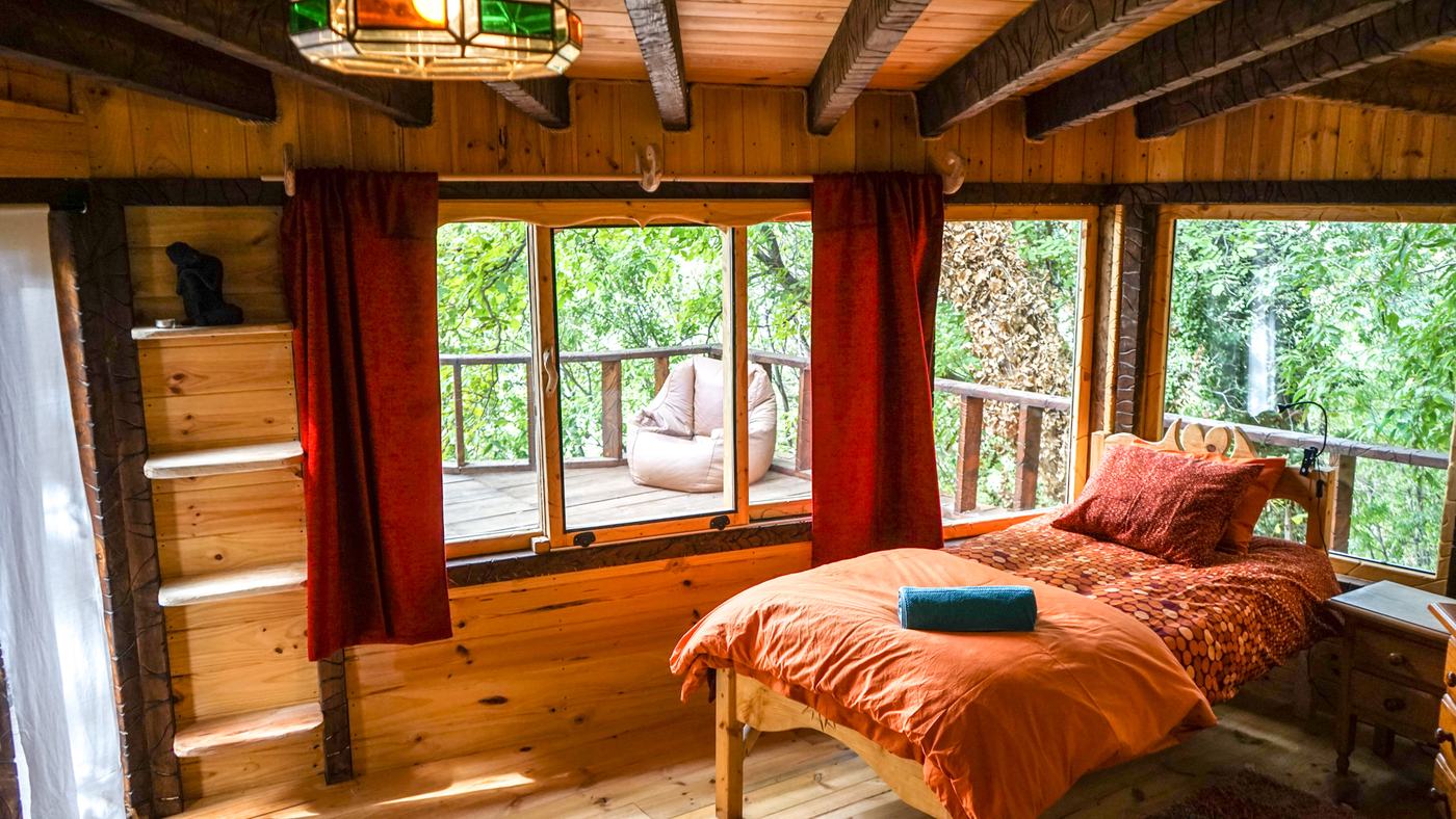 A room of warm wood, the trees outside