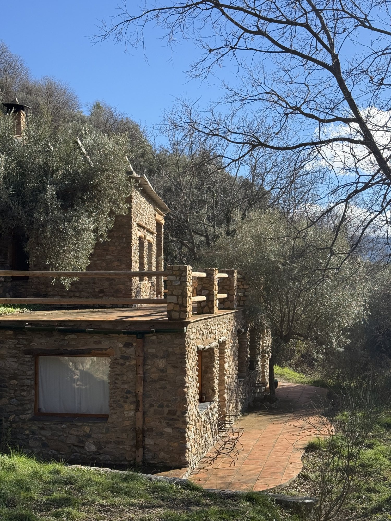 A stone house with a roof terrace among the olives