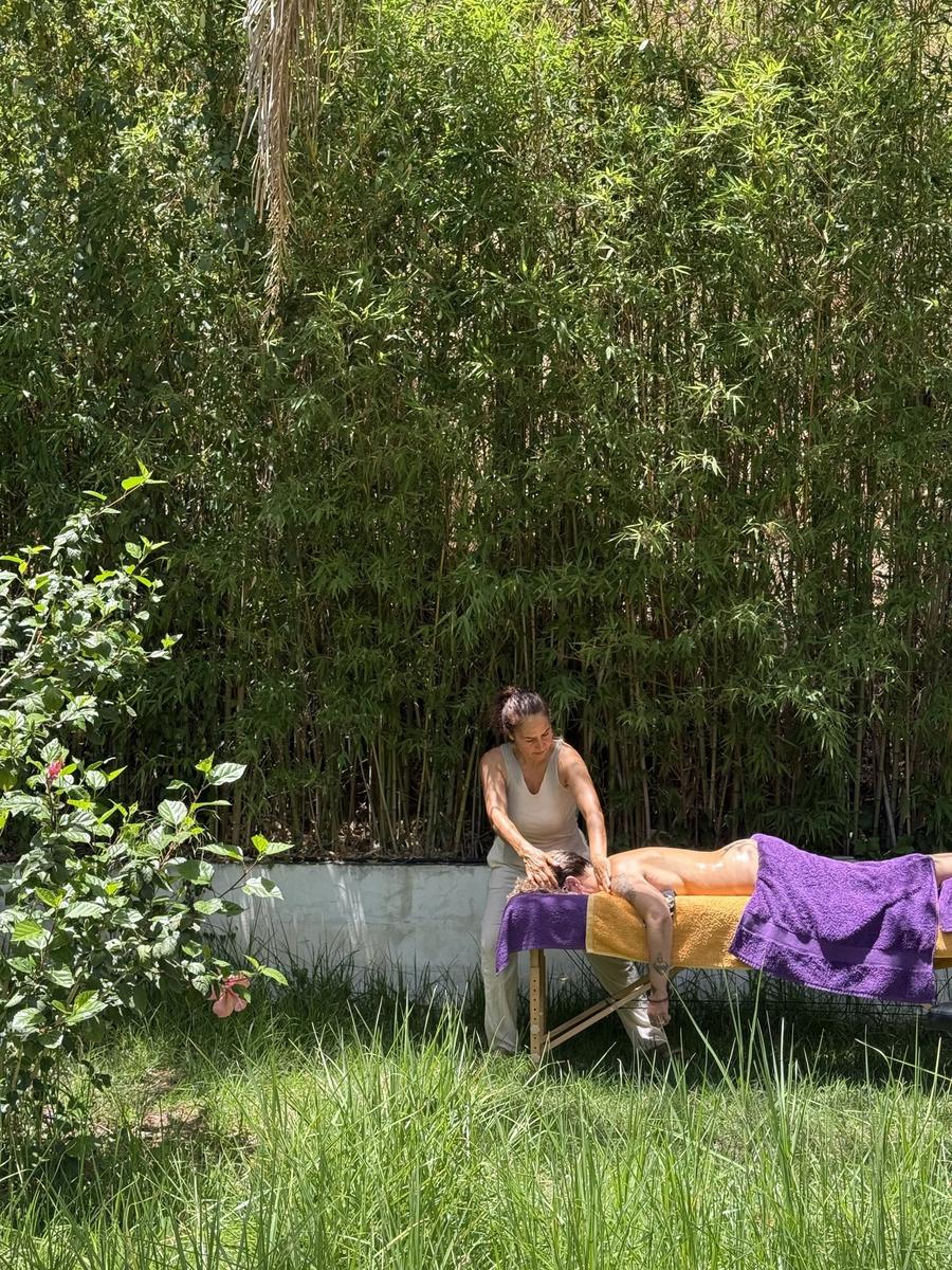 Treatment in the garden